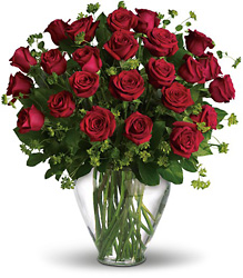 Deluxe- Two Dozen Red Roses from Gilmore's Flower Shop in East Providence, RI